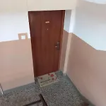 Ani